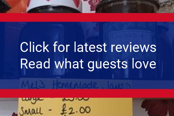 www.acornsoflyndhurst.co.uk - check out latest independent reviews