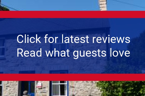 www.aelybryn-newport.co.uk - check out latest independent reviews