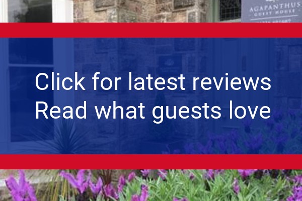 www.agapanthusguesthouse.co.uk - check out latest independent reviews