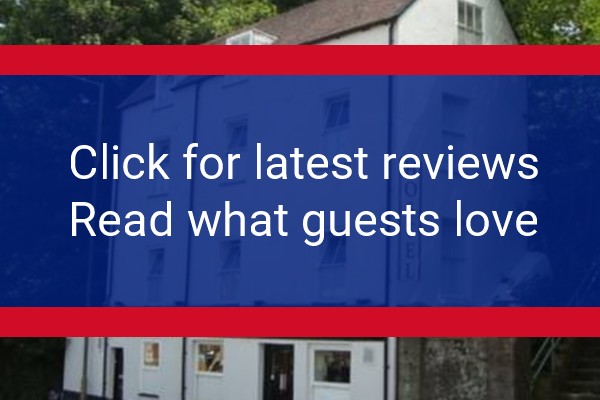 www.almadover.com - check out latest independent reviews