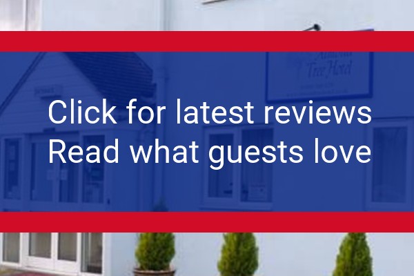 www.almondtreehotel.co.uk - check out latest independent reviews