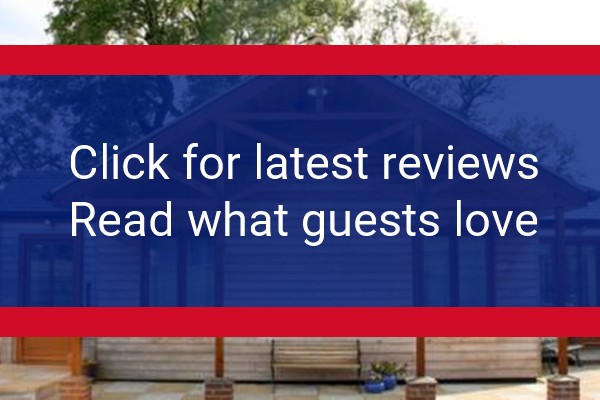 www.alpacas-easthowle.co.uk - check out latest independent reviews
