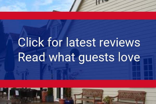 www.angelcitylodge.com - check out latest independent reviews