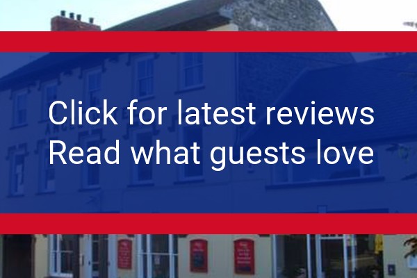 www.angelhotelcardigan.com - check out latest independent reviews