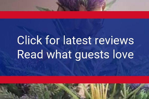www.anshome.org - check out latest independent reviews
