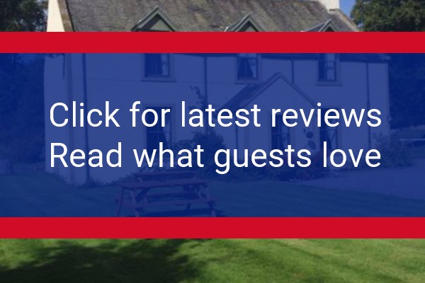 www.antfieldguesthouse.com - check out latest independent reviews