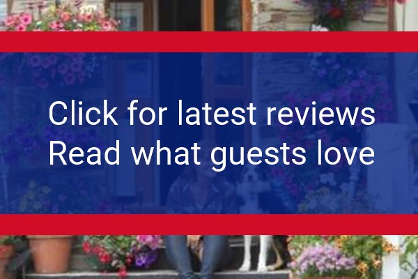 www.aquariusnewquay.co.uk - check out latest independent reviews