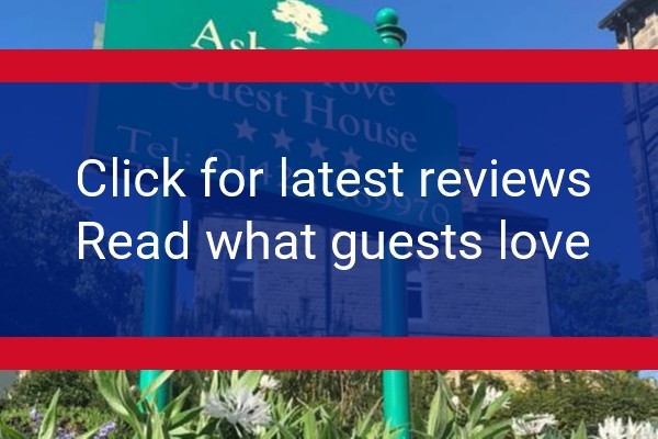 www.ash-grove.co.uk - check out latest independent reviews