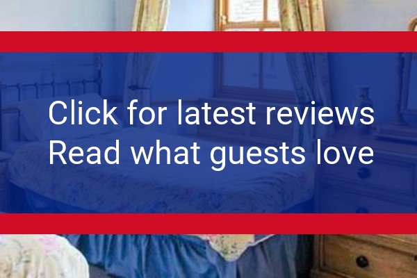 www.asics.com - check out latest independent reviews