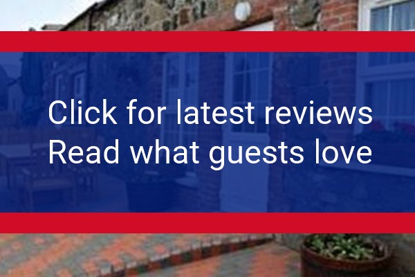 www.auntrachels.co.uk - check out latest independent reviews