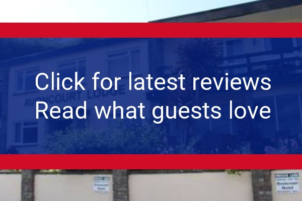 www.avoncourtilfracombe.co.uk - check out latest independent reviews