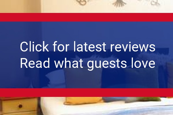 www.babbacombepalms.com - check out latest independent reviews