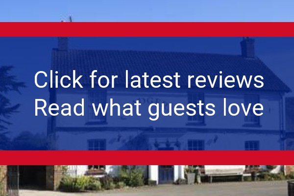 www.badgerspetworth.co.uk - check out latest independent reviews