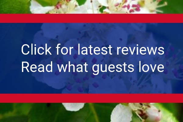 www.ballureholidayhomes.com - check out latest independent reviews