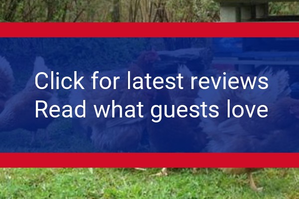www.banceithin.com - check out latest independent reviews