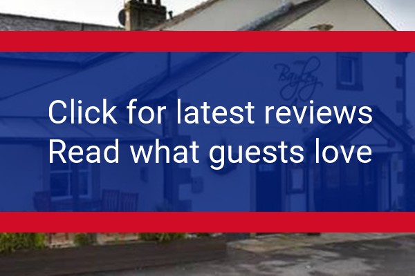 www.bayleyarms.net - check out latest independent reviews