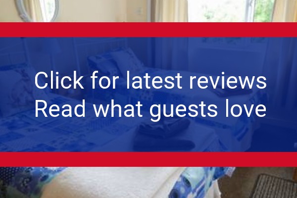 www.beaversbendlodging.com - check out latest independent reviews