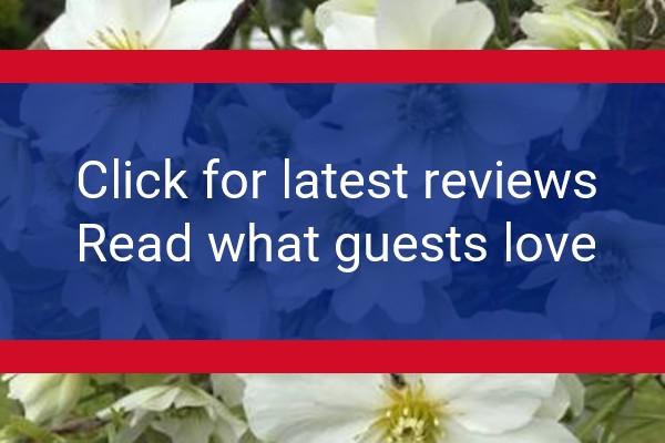 www.bedandbreakfastcheltenham.co.uk - check out latest independent reviews