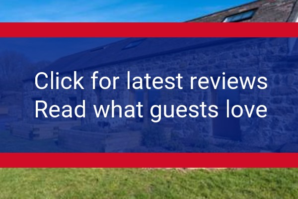 www.beddgelertaccommodation.co.uk - check out latest independent reviews