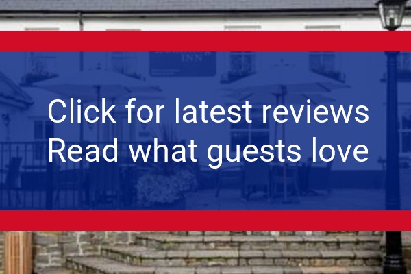 www.bedlinog-inn.co.uk - check out latest independent reviews