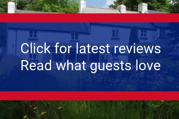 www.beechwood-dartmoor.co.uk - check out latest independent reviews