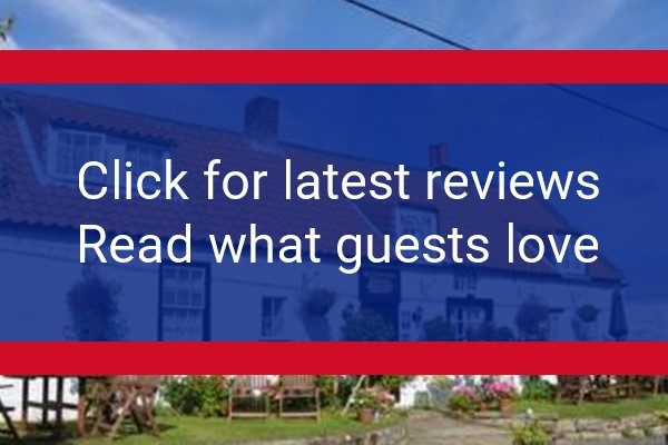 www.beehiveinne.com - check out latest independent reviews