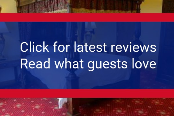 www.bellavitahotel.com - check out latest independent reviews