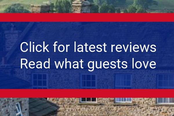 www.bellegreen.com - check out latest independent reviews