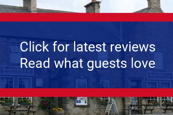 www.beltedwill.co.uk - check out latest independent reviews