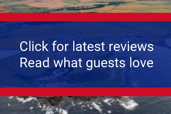 www.belvedere-holidays.co.uk - check out latest independent reviews
