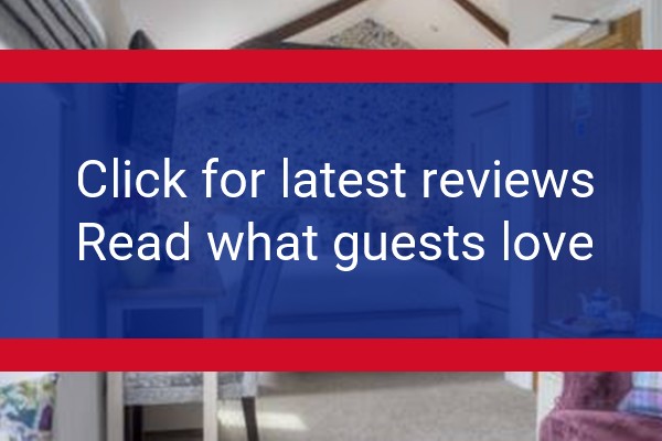 www.bertrams.co.uk - check out latest independent reviews