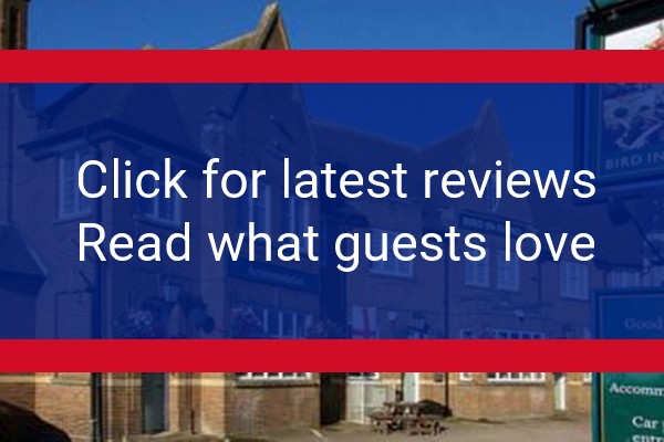 www.birdinhandhenlow.com - check out latest independent reviews