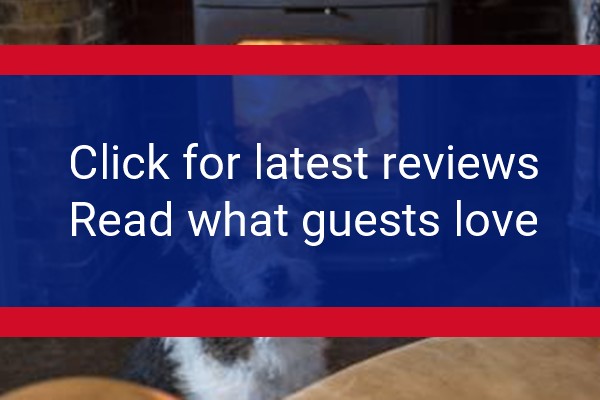 www.blackbull-lauder.com - check out latest independent reviews