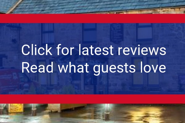 www.blackbullwark.com - check out latest independent reviews
