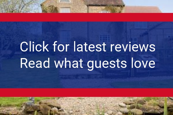www.blackdogsfarm.net - check out latest independent reviews