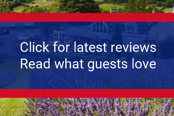 www.blackhorsebeamish.co.uk - check out latest independent reviews