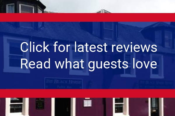 www.blackhorsenewtonstewart.co.uk - check out latest independent reviews