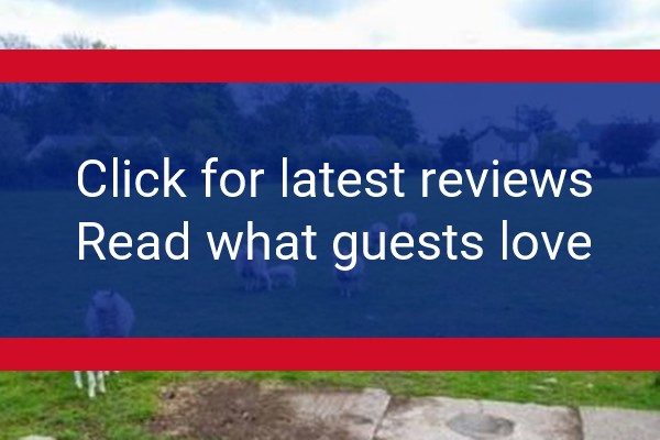 www.blengfarms.co.uk - check out latest independent reviews
