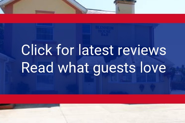 www.blenheimhousetorquay.co.uk - check out latest independent reviews