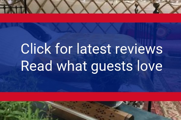 www.bloomsburysbiddenden.com - check out latest independent reviews