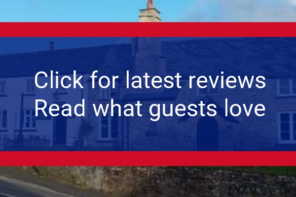 www.blueballinn.com - check out latest independent reviews
