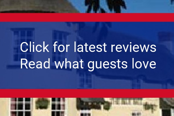 www.blueballpub.co.uk - check out latest independent reviews