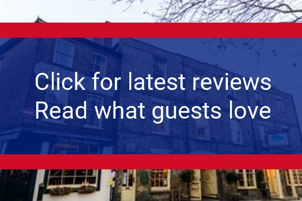 www.blueboarmaldon.co.uk - check out latest independent reviews