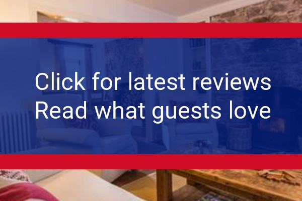 www.bluemonkeycornwall.com - check out latest independent reviews