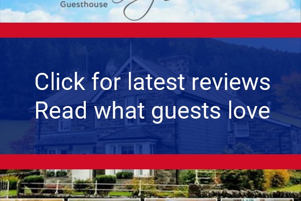 www.bodgwynedd.com - check out latest independent reviews