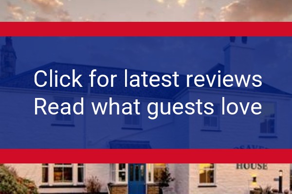 www.bosavern.com - check out latest independent reviews