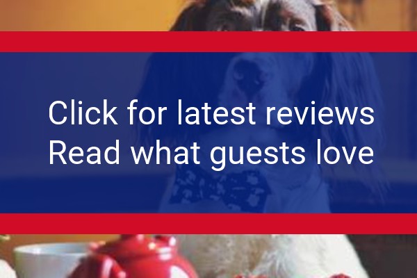 www.bournevalleyinn.com - check out latest independent reviews