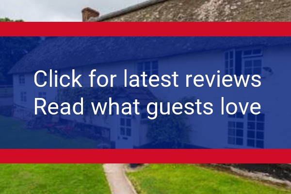 www.bowhayesfarmculmstock.co.uk - check out latest independent reviews