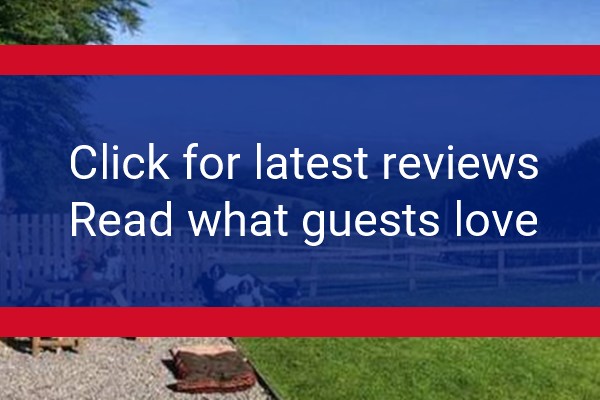 www.brechfaforestbarns.co.uk - check out latest independent reviews