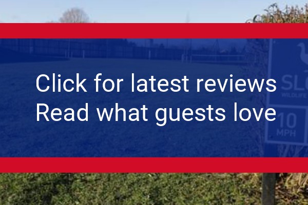 www.bridgehousecarpentry.co.uk - check out latest independent reviews